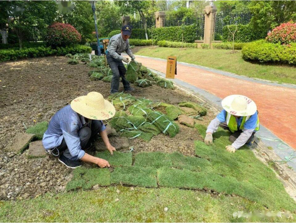 物業綠化